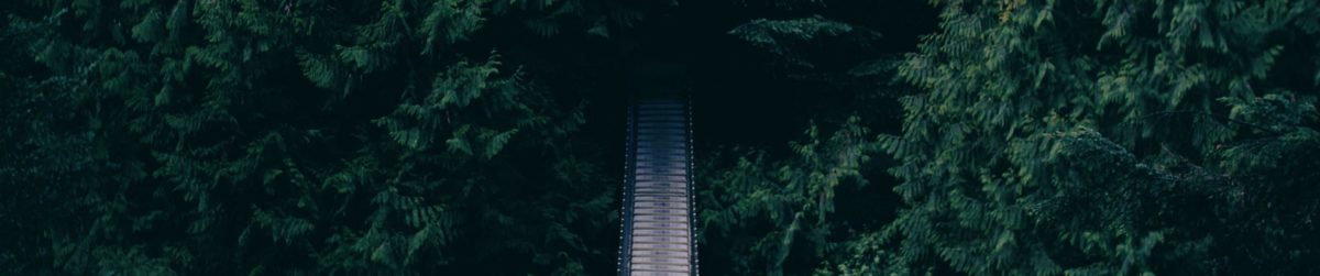 The Capilano Suspension Bridge stretches through Vancouver,BC's treetops.